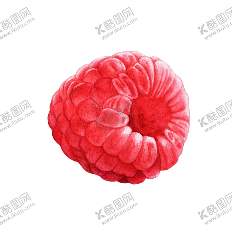 编号：72199606280014329977【酷图网】源文件下载-红树莓