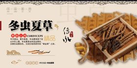 中国风冬虫夏草药材展板
