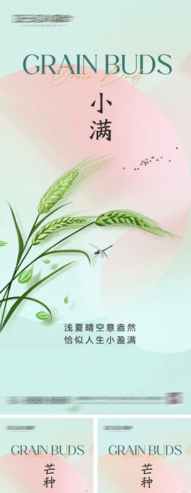 小满芒种节气系列海报
