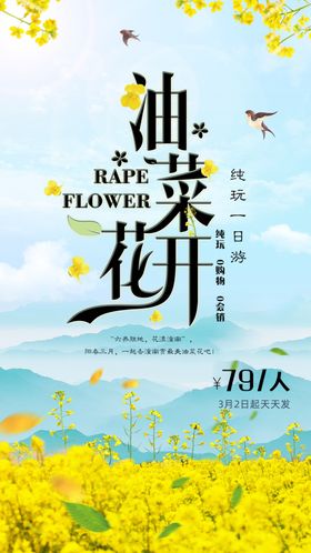 油菜花开海报专题网页UI