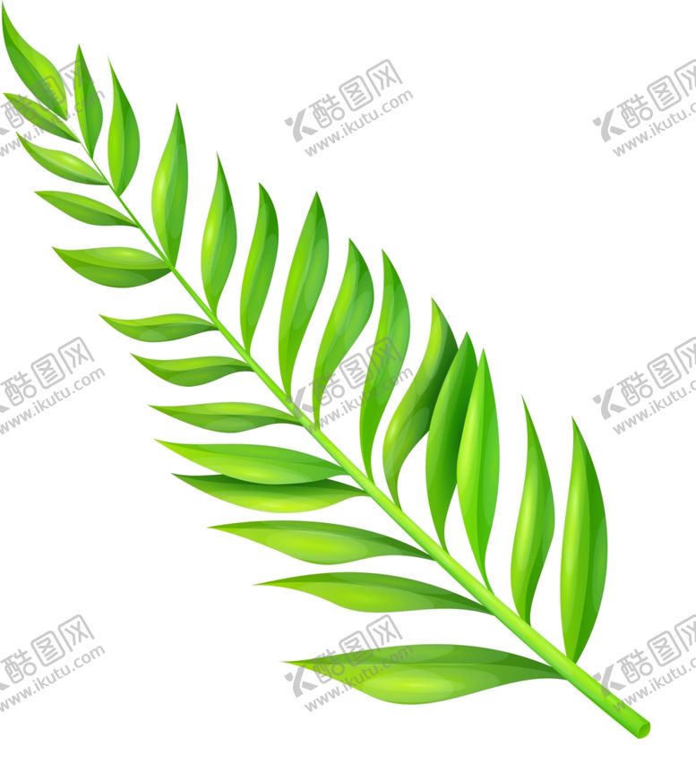 编号：43712402032000411406【酷图网】源文件下载-热带植物叶片