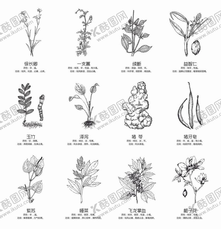 编号：73894009170446502943【酷图网】源文件下载-线描简笔手绘中草药