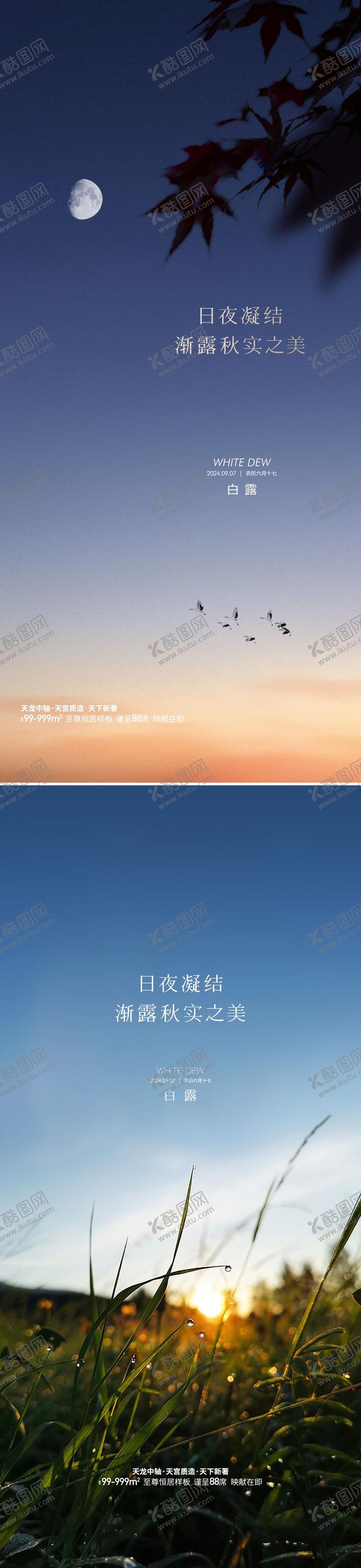 编号：33091009041403148488【酷图网】源文件下载-地产白露节气节日海报