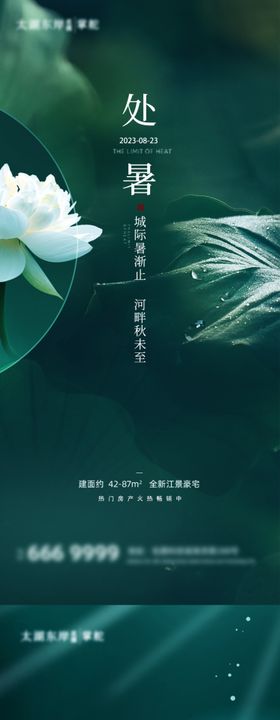 处暑节气海报系列清新夏天荷花