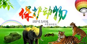 保护野生动物