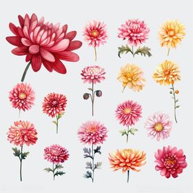 多彩手绘花卉图案集合