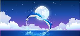 海豚