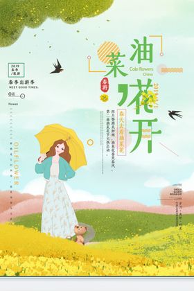 油菜花