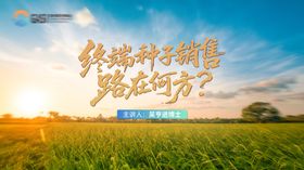 田野夕阳下的励志风景