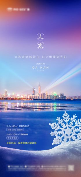 大寒炫彩冬季节气宣传海报
