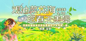 油菜花活动展板