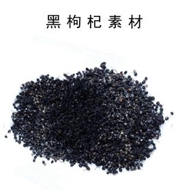 黑枸杞图片素材