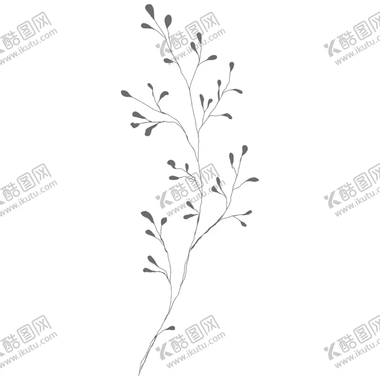 编号：10221204092112071489【酷图网】源文件下载-手绘花藤花纹