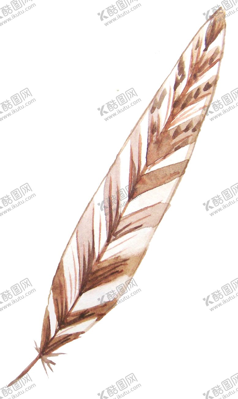 编号：43632110111105004969【酷图网】源文件下载-手绘水彩羽毛