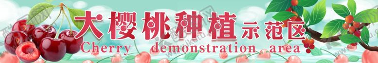 编号：60033111261513519865【酷图网】源文件下载-大樱桃