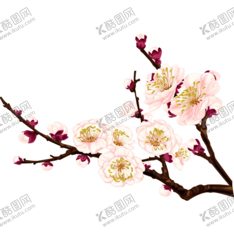 编号：95100304191731141283【酷图网】源文件下载-桃花