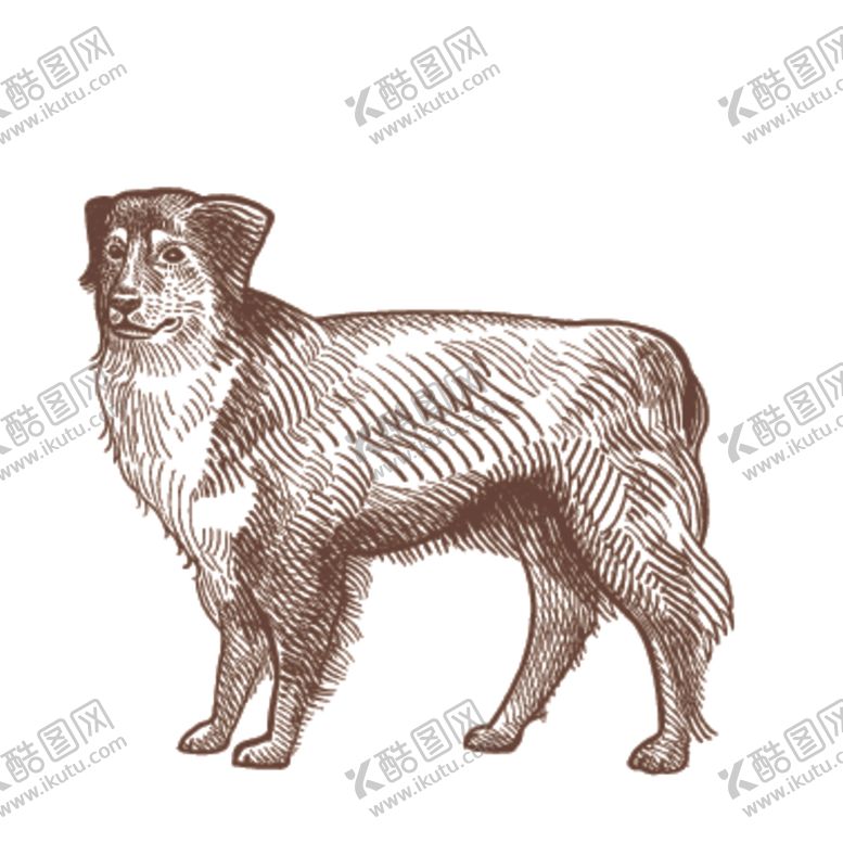 编号：67830406261442445135【酷图网】源文件下载-家养动物主题插画