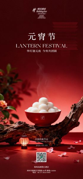 元宵节节气海报