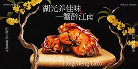 湖光春色味醉蟹正当时展板