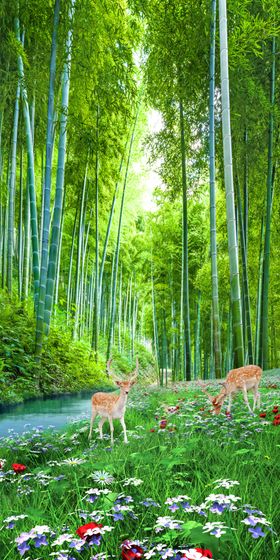 唯美竹林风景