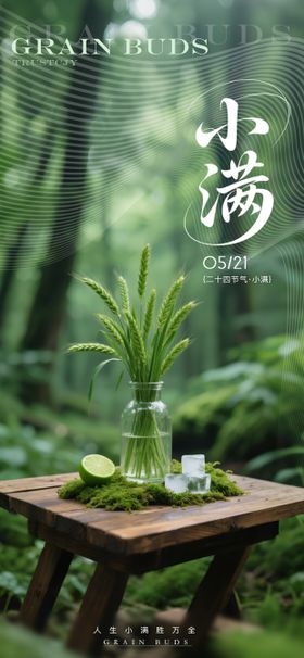 小满节气高级海报