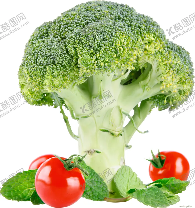 编号：33596305100515437727【酷图网】源文件下载-花菜