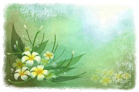手绘鲜花插图