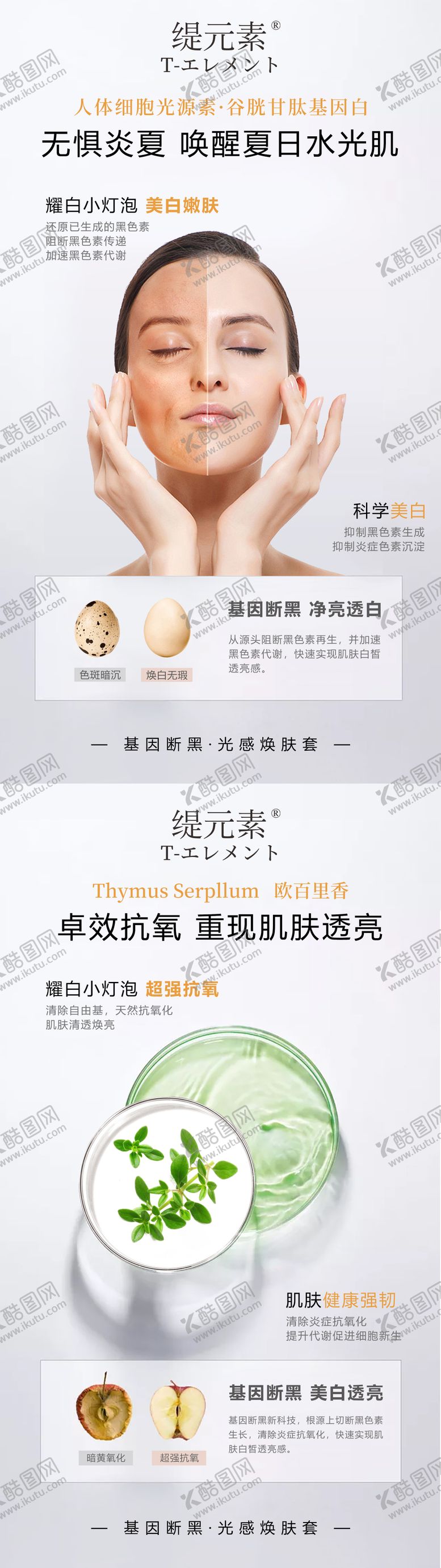 编号：79300311201714083129【酷图网】源文件下载-护肤成分海报