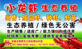 小龙虾生态养殖