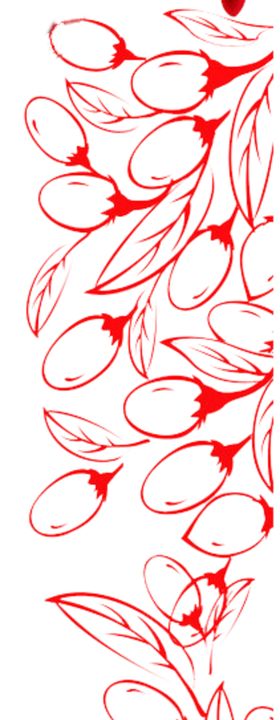 枸杞
