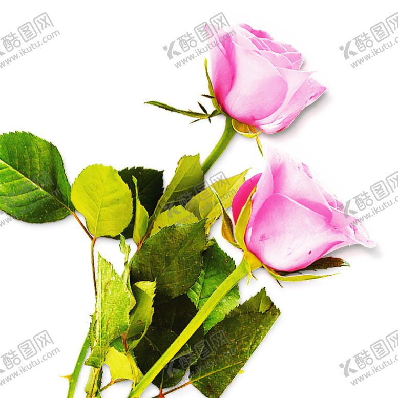 编号：30414906280239228397【酷图网】源文件下载-浪漫素材
