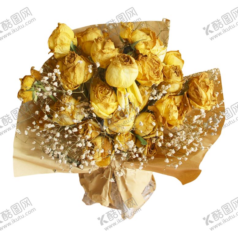 编号：65183010012050207634【酷图网】源文件下载-免抠背景干花枯花