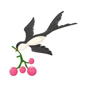 燕子插画