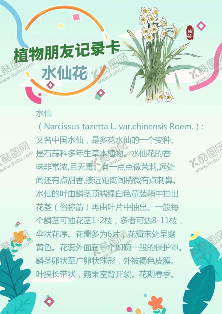 编号：86557205151307235770【酷图网】源文件下载-水仙花