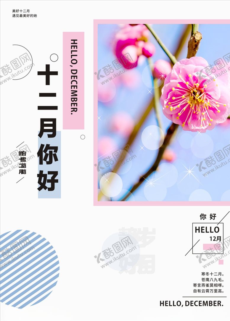 编号：14129007021257369737【酷图网】源文件下载-十二你好