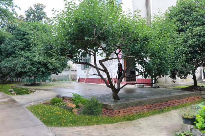 编号：20361509211510122629【酷图网】源文件下载-乡村一角