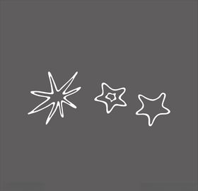 海星