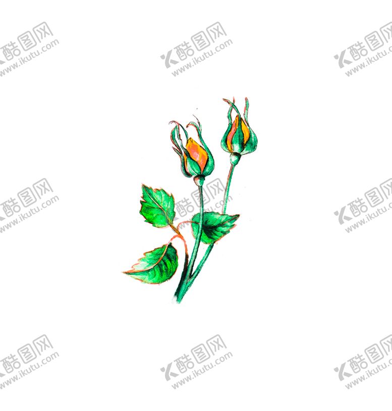 编号：68910010260216404273【酷图网】源文件下载-花素材