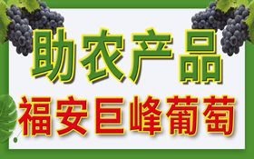 限时秒杀石家庄巨峰葡萄