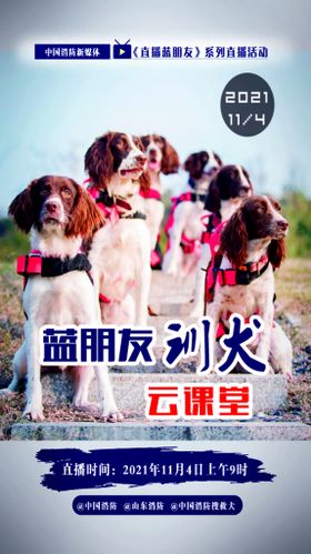 搜救犬海报