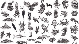 黑白矢量写生手绘素描动物插图