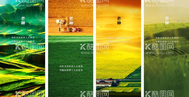 编号：11838202251519403419【酷图网】源文件下载-芒种节气宣传海报展板