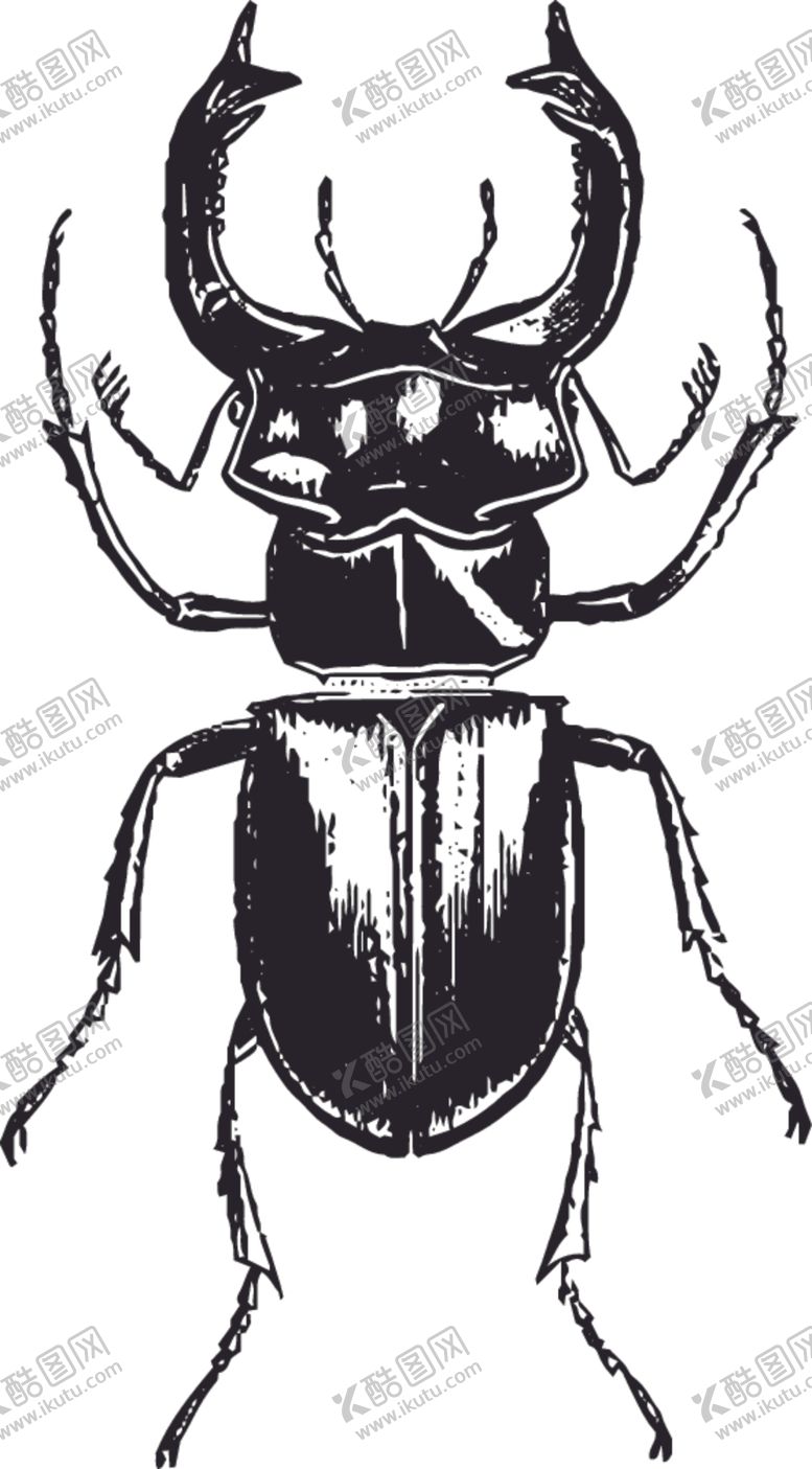 编号：75446207092320157468【酷图网】源文件下载-自然昆虫标本插画