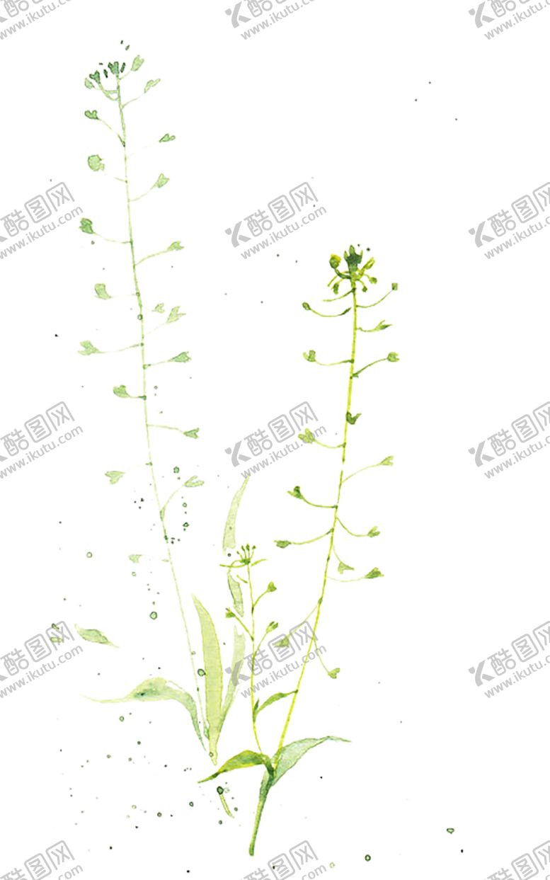 编号：62220010290541266017【酷图网】源文件下载-绿色相框