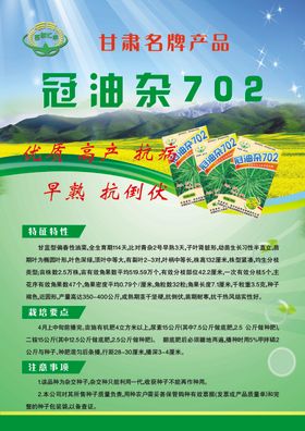 油菜宣传彩页