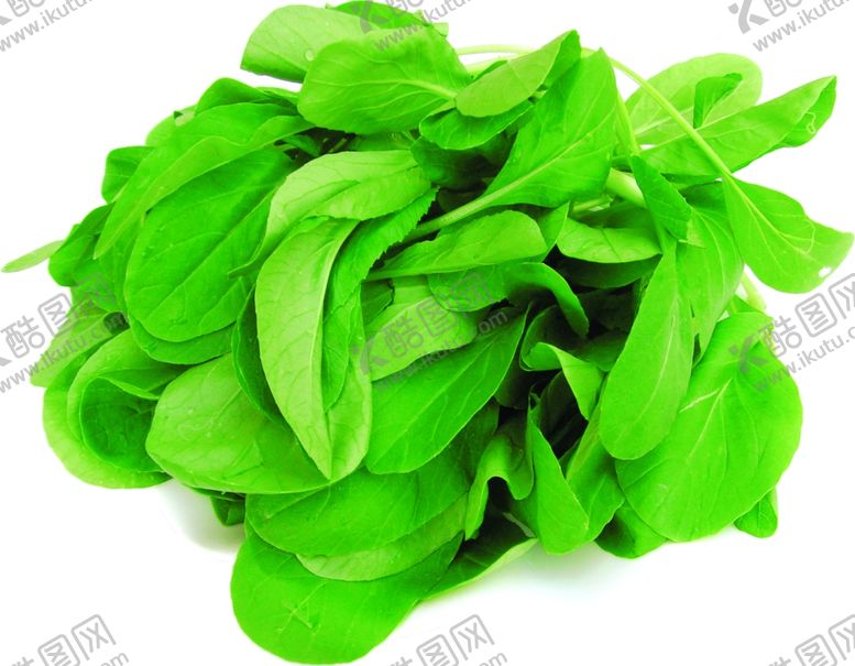 编号：76615610300110219566【酷图网】源文件下载-家常菜美食