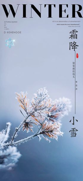霜降简约海报柿子二十四节气