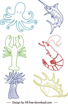 海洋生物