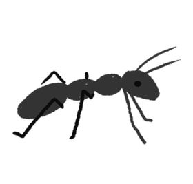 手绘插画蚂蚁