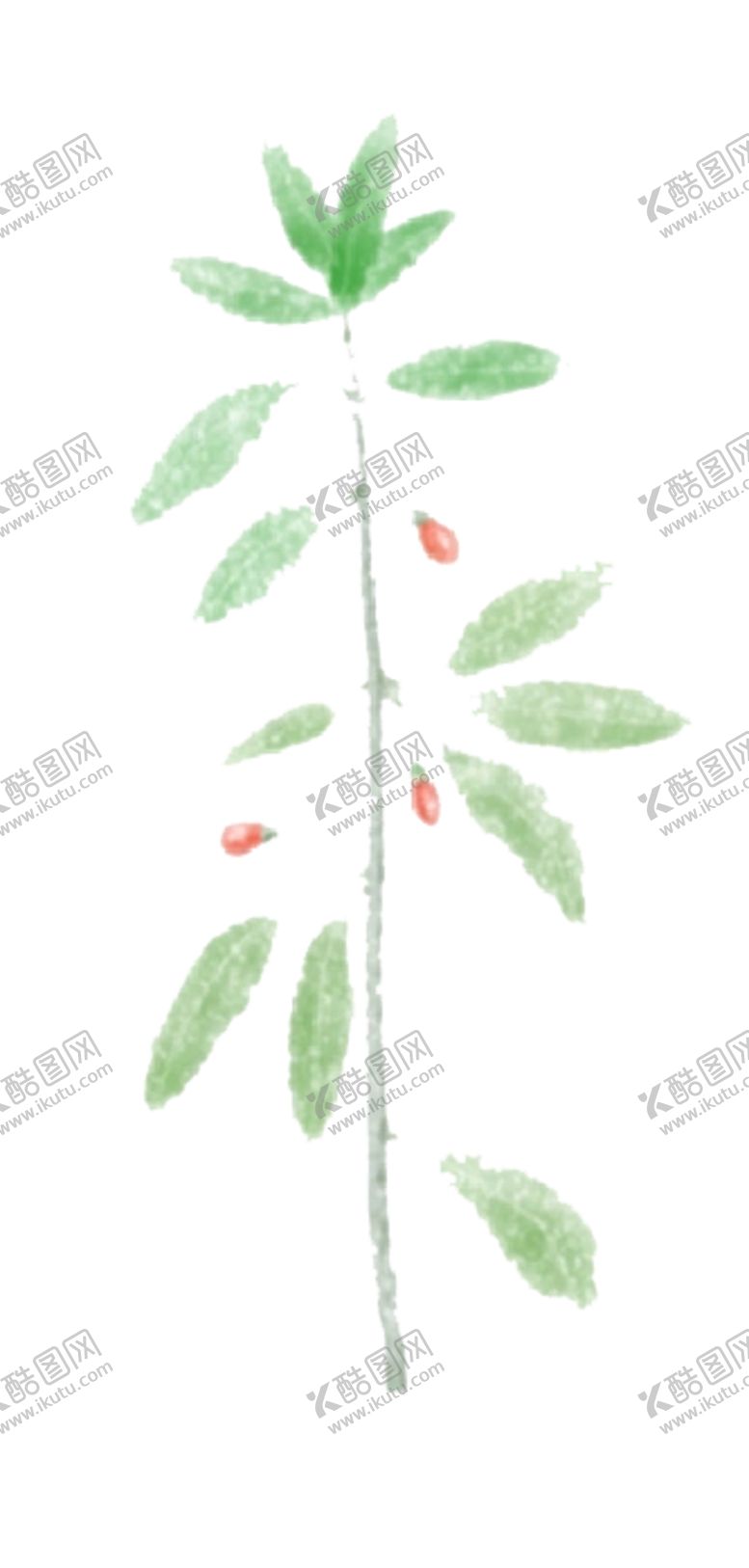 编号：83888009190401132460【酷图网】源文件下载-枸杞子